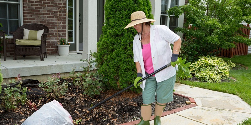 10 Landscaping Tools Everyone Should Have