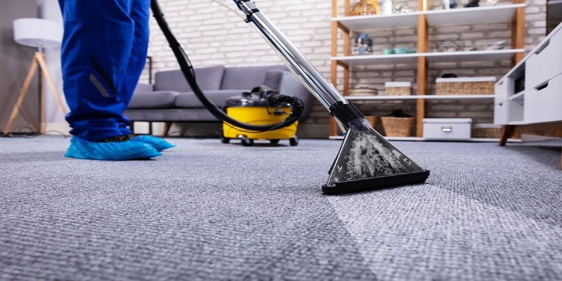 Why Professional Carpet Cleaning Can Benefit The Health Of You And Your Family